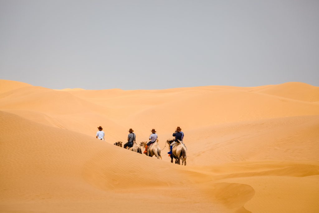 camel team in desert, 4 day desert tour marrakech, 9 days tour from casablanca, morocco tours from tangier